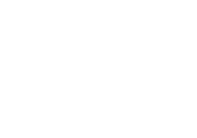 Wanderfull Passport
